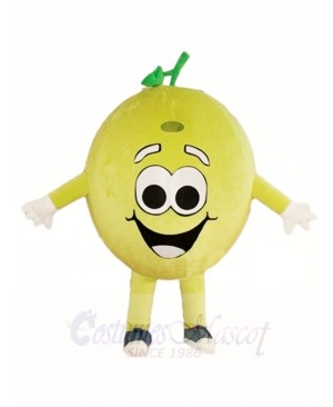 Happy Lemon Lime Mascot Costumes Fruit Plant 