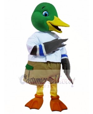 Mallard Wild Duck Mascot Costumes Poultry