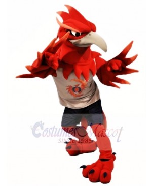 Red Phoenix Mascot Costumes Animal