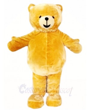 Brown Teddy Bear Mascot Costumes Animal 