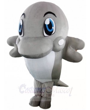 Grey Dolphin Mascot Costumes Ocean 