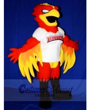 Fire Storm Red Eagle Phoenix Animal 