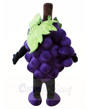 Purple Grape Mascot Costumes Fruit Food Plant