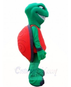 Green Terrapin Tortoise Turtle Mascot Costumes Sea