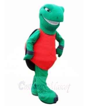 Green Terrapin Tortoise Turtle Mascot Costumes Sea