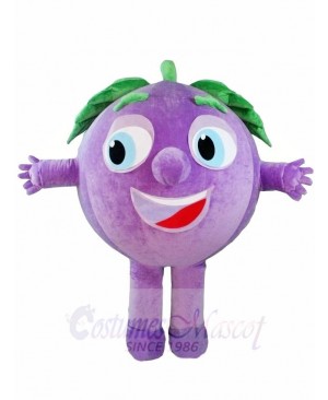 Purple Grapes Mascot Costumes Fruit Plant