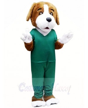 Brown Dog in Green Suit Mascot Costumes Animal 