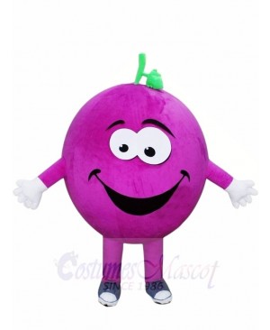 Purple Grapes Mascot Costumes Fruit Plant