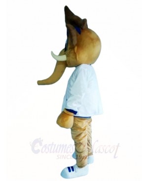 Elephant in White Shirt Mascot Costumes Animal