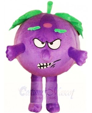 Angry Eggplant Mascot Costumes Vegetable Plant