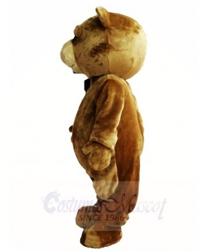 Brown Teddy Bear Mascot Costumes Animal 