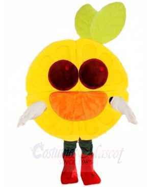 Brown Eyes Orange Mascot Costumes Fruit 
