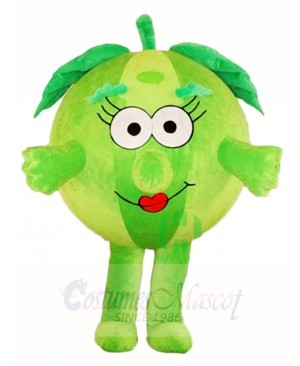 Green Watermelon Mascot Costumes Fruit 