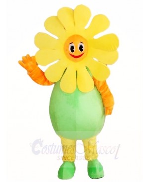 Sunflower Mascot Costumes Plant