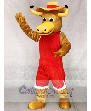 Texas Longhorns Hook'em Sport Bull Mascot Costumes