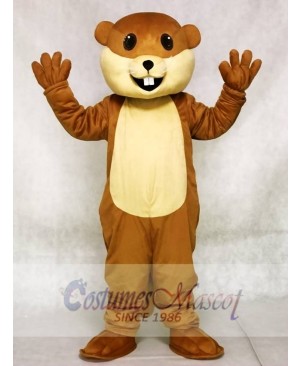 Benny Beaver Mascot Costumes Animal