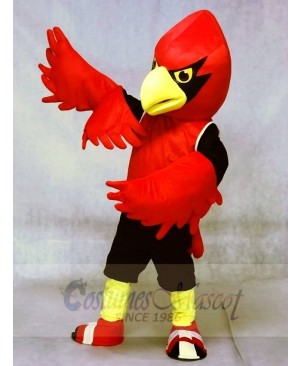 Red Cardinal with Vest Mascot Costumes Bird Animal