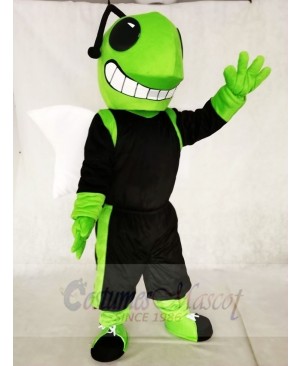 Green and Black Hornets Mascot Costumes Insect 