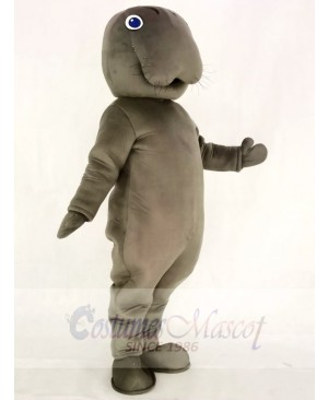 Gray Manatee Mascot Costumes Animal 