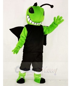 Green and Black Hornets Mascot Costumes Insect