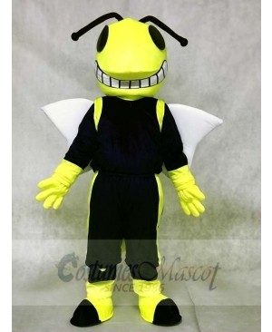 Yellow and Blue Hornets Mascot Costumes Insect 