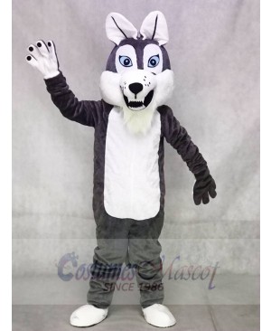 Grey Gray Long-haired Wolf Mascot Costumes Animal