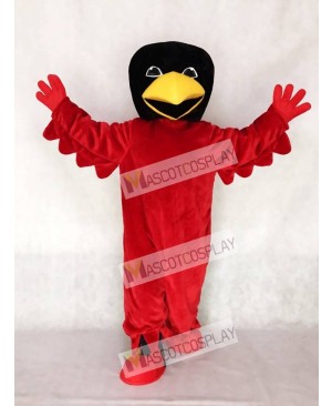 Red Bird Mascot Costume