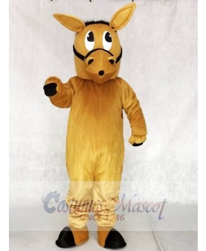 Barney Burro Donkey Mascot Costumes Animal