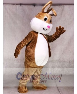 Cute Easter Bunny Rabbit Mascot Costumes Animal