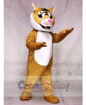 Super Wildcat Cat Mascot Costumes Animal