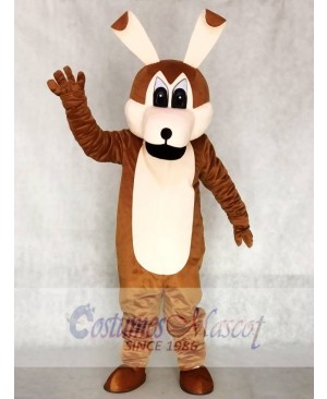 Coyotes Mascot Adult Costumes Animal