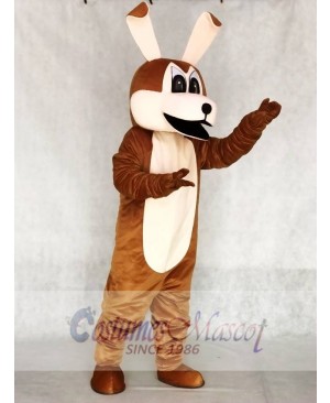 Coyotes Mascot Adult Costumes Animal