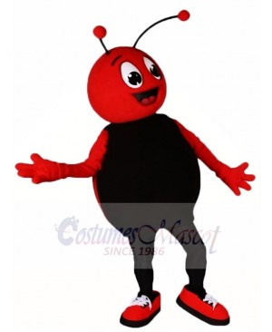 Custom Order Red Bug with Black Belly Mascot Costumes Insect