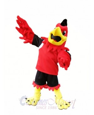 Red Hawk Mascot Costume Mo the Falcon Mascot Costumes