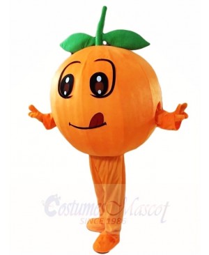 Orange Mascot Costumes Fruit Plant