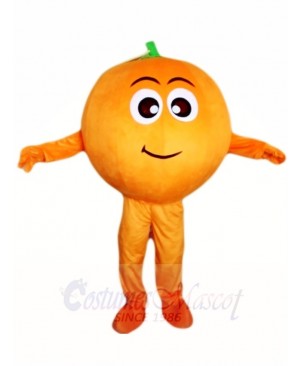 Orange Mascot Costumes Fruit Plant