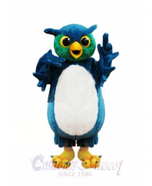 Cute Blue and Green Owl Mascot Costumes  