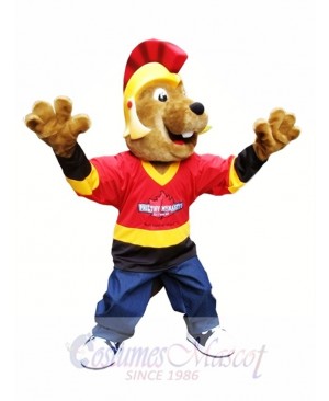 Beaver in Helmet Mascot Costumes