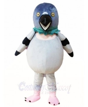 Pigeon Mascot Costumes Bird Animal