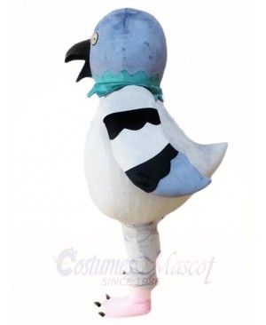 Pigeon Mascot Costumes Bird Animal