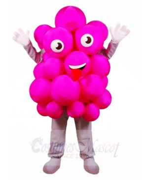 Pink Grapes Mascot Costumes Fruit