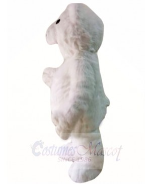 Hairy Polar Bear Mascot Costumes Animal