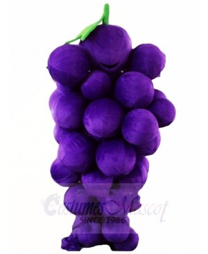 Purple Grape Mascot Costumes Fruit Food