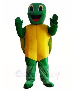 Tortoise Turtle Mascot Costumes Animal