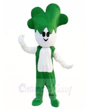 Green Vegetables Cabbage Mascot Costumes Plant 