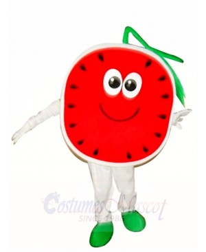Half a Watermelon Mascot Costumes Fruit