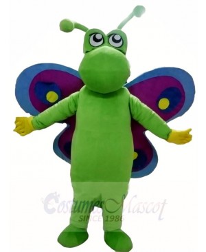 Green Butterfly with Purple and Blue Wings Mascot Costumes Insect 