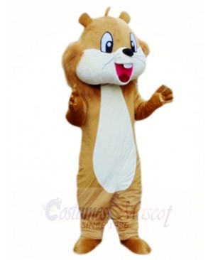 Brown Squirrel Mascot Costumes Animal