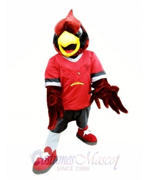 Red Eagle Hawk Mascot Costume College Mascot Costumes