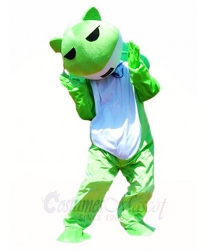 Travel Frog Mascot Costumes Animal